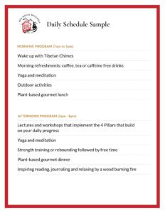 Daily schedule sample on white background